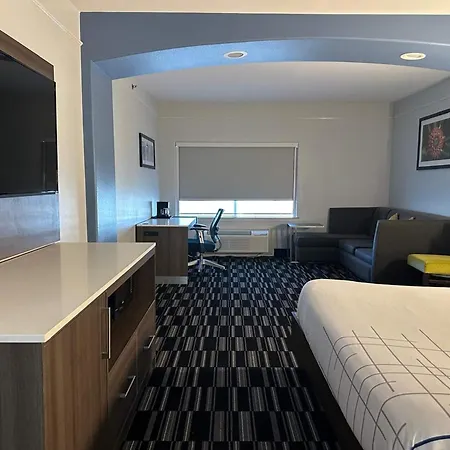 La Quinta By Wyndham Alamo-Mcallen East-3