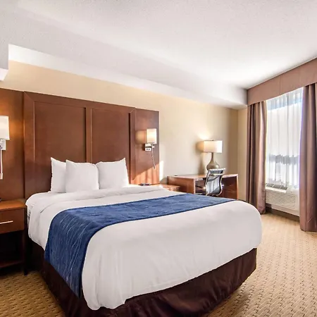 Comfort Inn & Suites Medicine Hat Shopping Centre-2