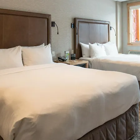 Moose Hotel And Suites-3