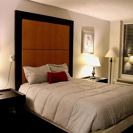 Apm Inn And Suites-2