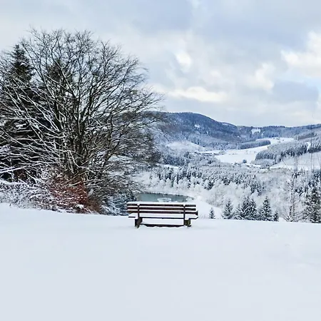 Panorama Hotel Winterberg-2