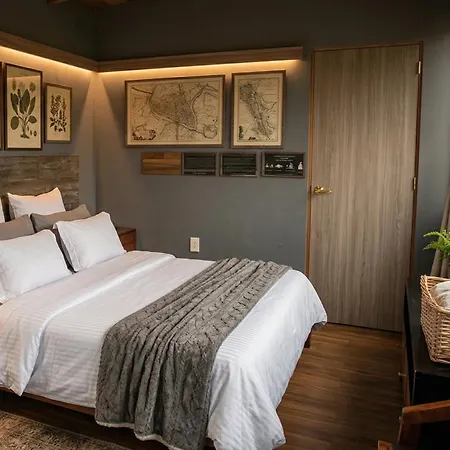 Orgánico Hotel Boutique-2
