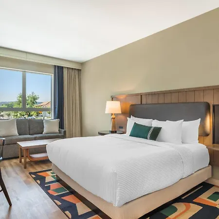 Cambria Hotel Templeton - Paso Robles-3