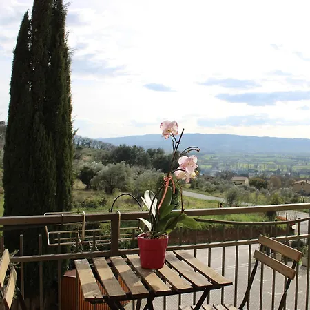 Viole Country Hotel-3