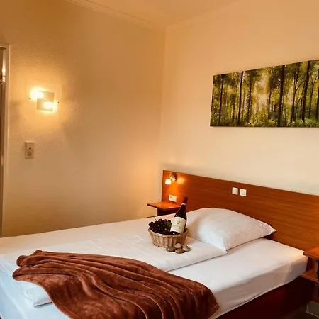 Hotel Falk-2