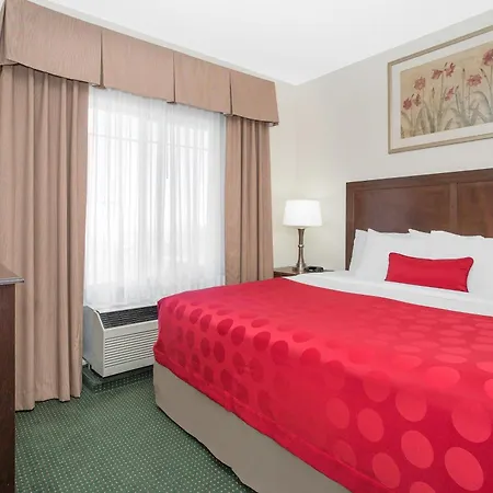 Ramada By Wyndham Denver International Airport-3