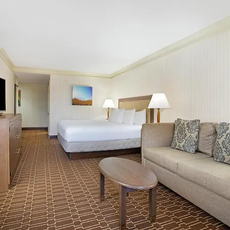 Hilton Jackson-2