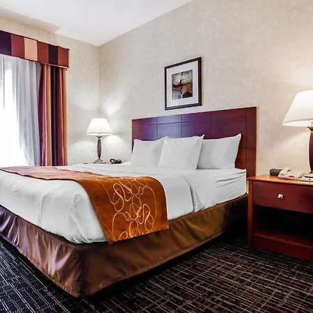 Comfort Suites Independence - Kansas City-2
