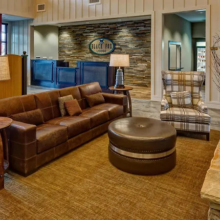 Black Fox Lodge Pigeon Forge, Tapestry Collection By Hilton-3