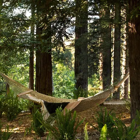 Alila Ventana Big Sur (Adults Only)-2