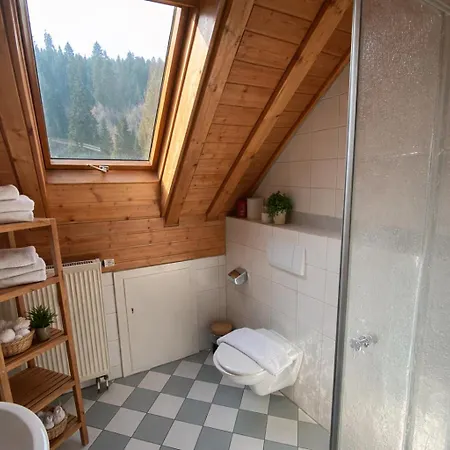 Self-check-in Ferienwohnungen&Apartments am Bergsee-3