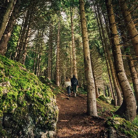 Torghele'S Wald & Fluh-3