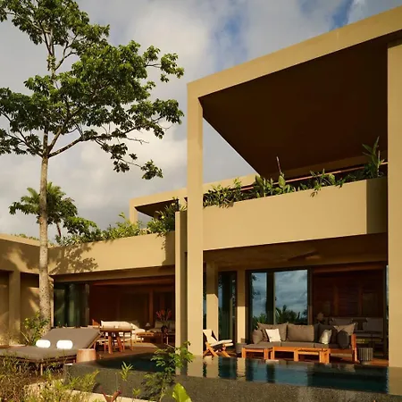 Rosewood Mandarina-3