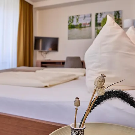 Stadthotel Schärding-3