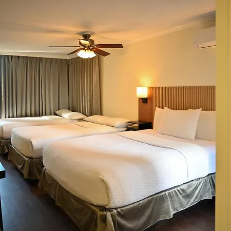 Hotel Opportune-2