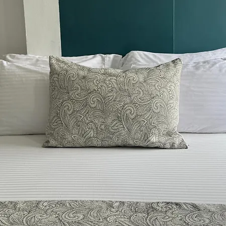 Greenview Medellin By St Hoteles-3