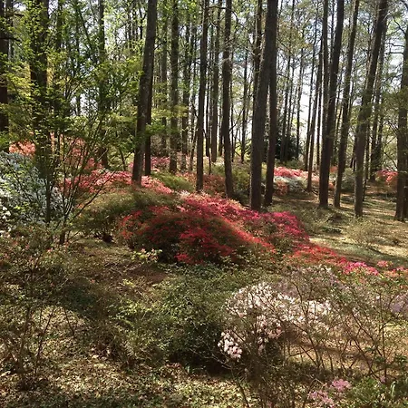 Callaway Resort & Gardens-2