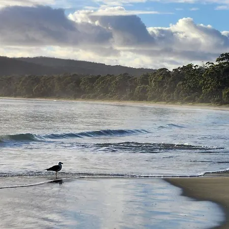Bruny Island Holiday Park-2