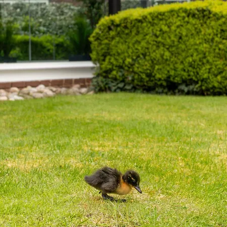 Daresbury Park Hotel-2