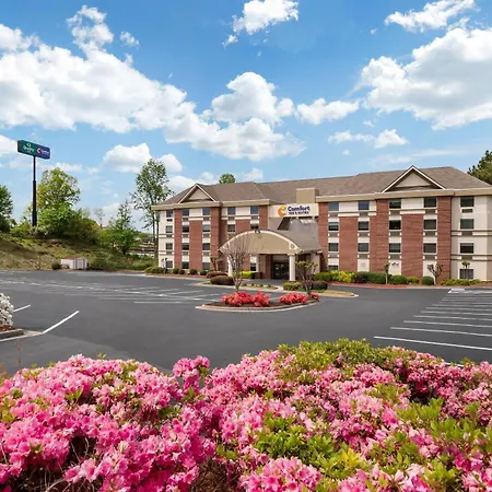 Comfort Inn & Suites Suwanee - Sugarloaf-2
