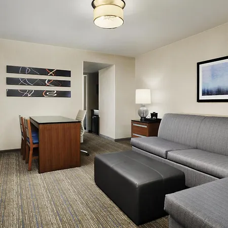 Embassy Suites By Hilton Chicago Downtown Magnificent Mile-3