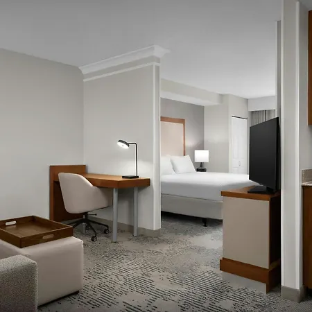 Springhill Suites By Marriott Lynchburg Airport/University Area-2