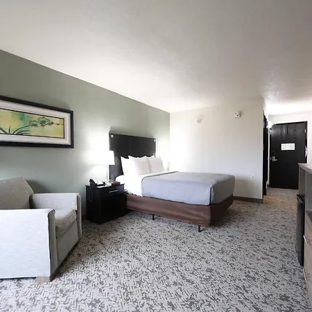 Quality Inn & Suites Mattoon South-3