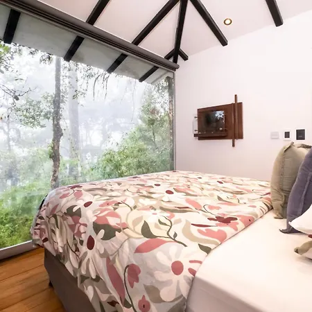 Dantica Cloud Forest Lodge-3
