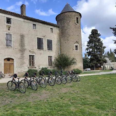 Les Cabanes Dans Les Bois-2