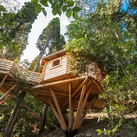 Les Cabanes Dans Les Bois-3