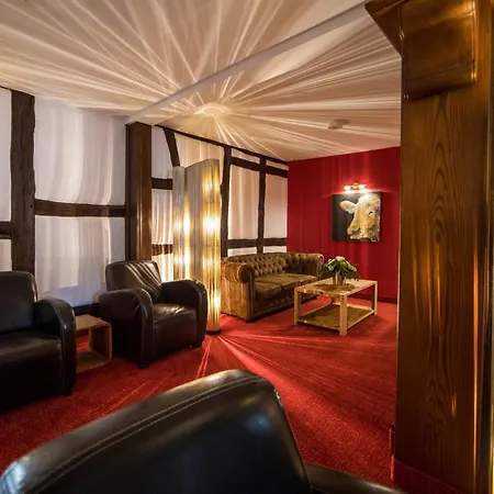 Hotel Saxenhof-3