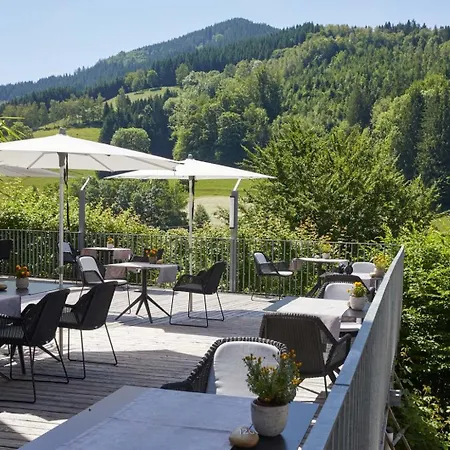 Elzland Hotel Pfauen Wellness & Spa-3