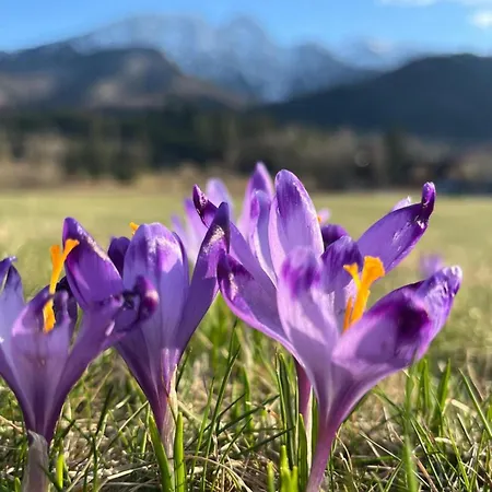 Radisson Blu Hotel & Residences Zakopane-3