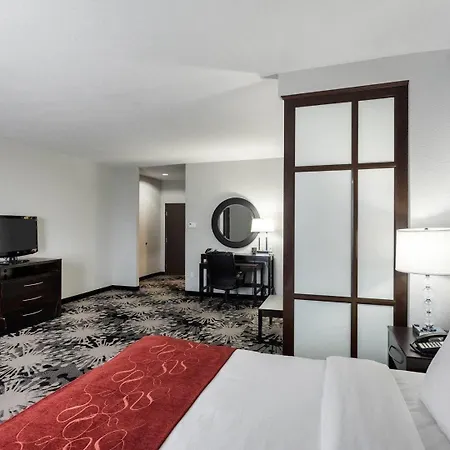 Comfort Suites Greenville-3
