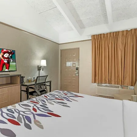Red Roof Inn Tampa Bay - St. Petersburg-2