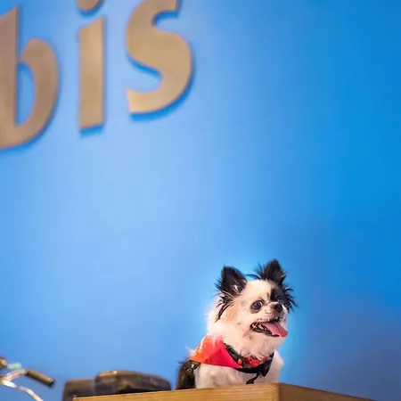 Ibis Amsterdam City West-2