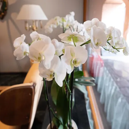 Hotel Garni Haus Arenberg-2