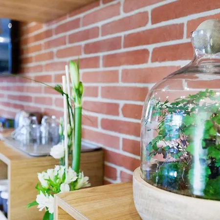 ibis Styles Toulouse Lavaur-3