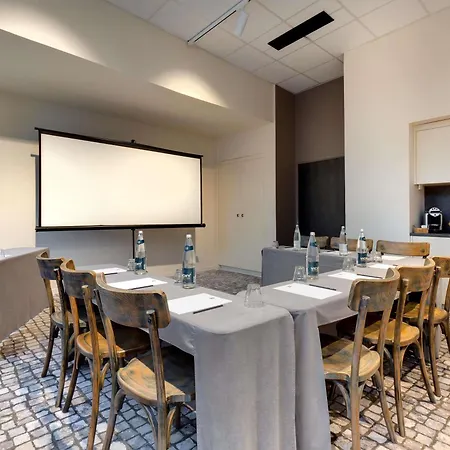 Ibis Vichy-2
