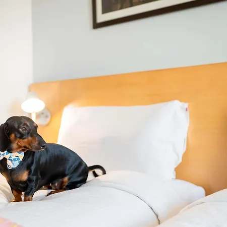 Ibis Chennai City Centre - An Accor Brand-3