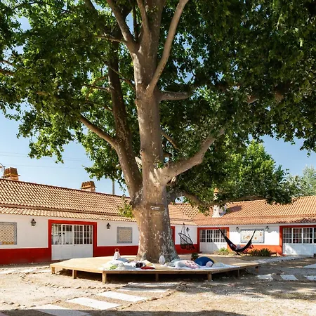 Quinta Da Torre-3