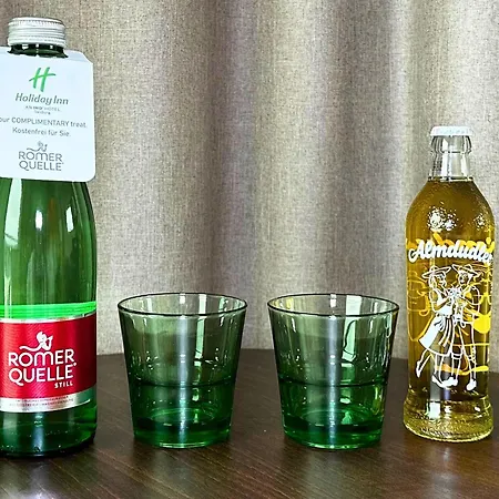 Holiday Inn - Salzburg City By Ihg-2