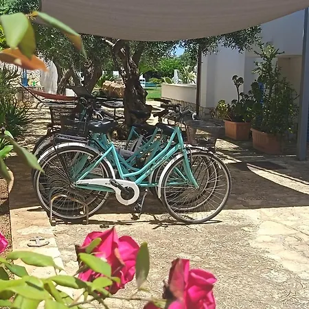 Signorino Resort-2