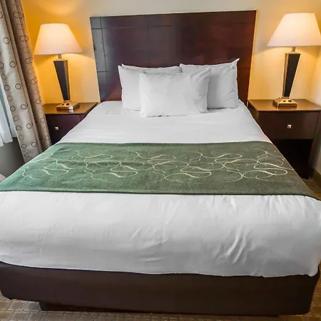 Comfort Suites University Area Notre Dame-South Bend-2