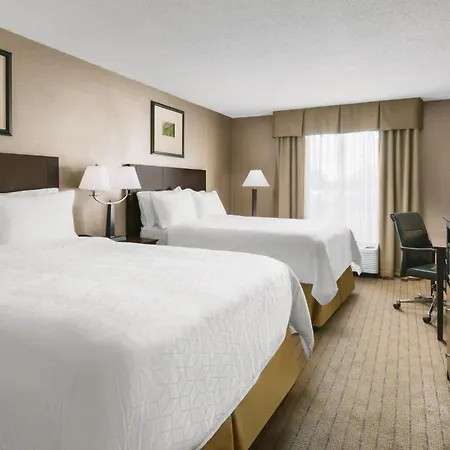 Garner Hotel Brockton - Boston By Ihg-3