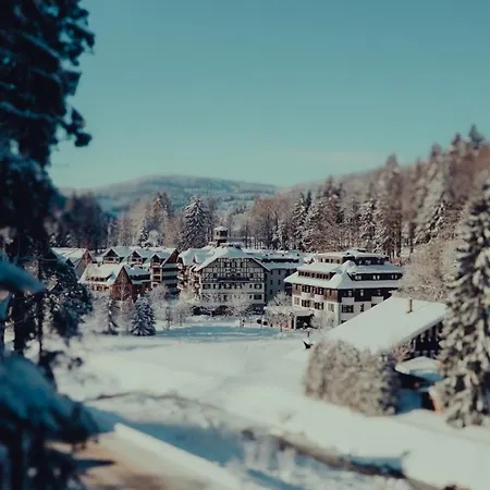 Hotel Savoy Spindleruv Mlyn-3