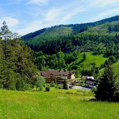 Tanne Tonbach - Wellness & Wohlfuehl Hotel-3