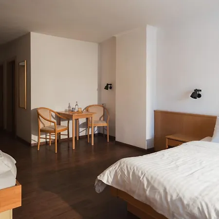 Hotel Garni ALPINA-3