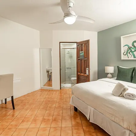 Boutique Surf Hotel Rip Jack Inn-2