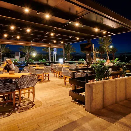 Ibis Torreon-3